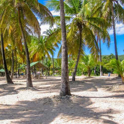 plage de la Désirade en Guadeloupe