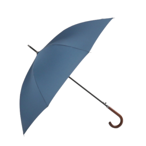 Parapluie homme de couleur bleu