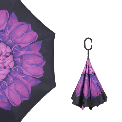 Parapluie femme Violet