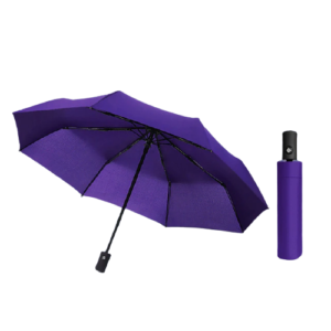 Parapluie automatique pour femme