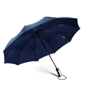 Parapluie homme bleu marine