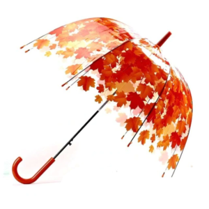 Parapluie transparent cloche