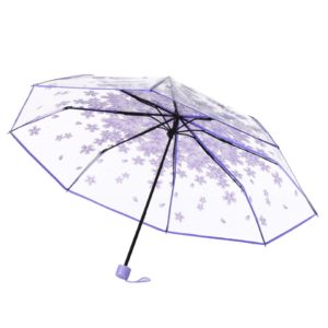 Parapluie transparent design