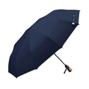 Parapluie pour homme