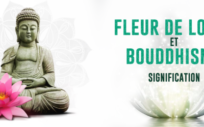 Fleur de lotus et bouddhisme signification
