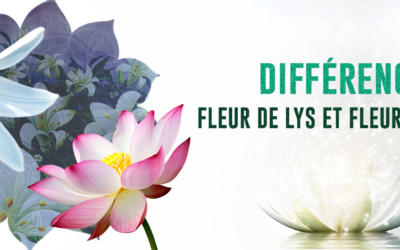 Fleur de Lys : Signification et Symbole