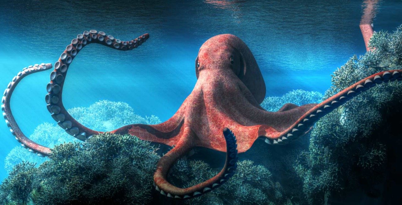Changer la couleur, octopode, sous les mers, éclosion