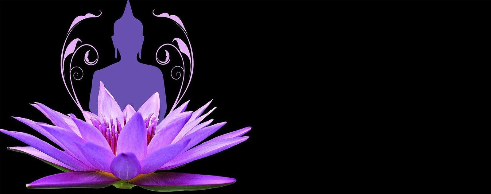 tatouage fleure de lotus violet