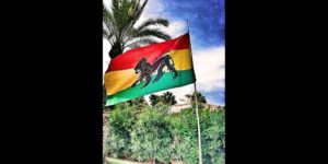 Le Lion de Judée avec Le Drapeau de la Jamaïquerastafarishop.fr