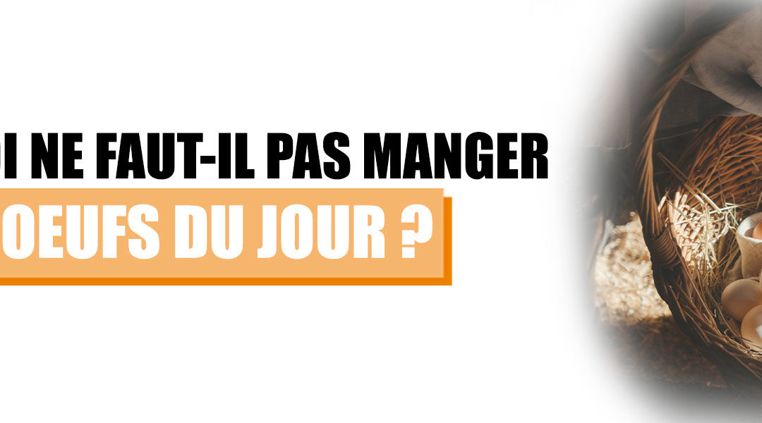 Pourquoi ne faut-il pas manger les œufs du jour ?