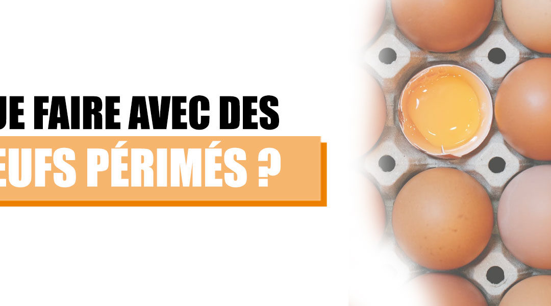 Que faire avec des œufs périmés ?