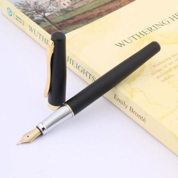 stylo plume élégant et unique sur support blanc