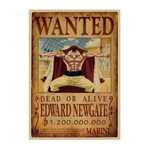 poster one piece barbe blanche