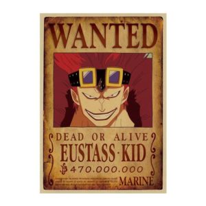 poster one piece kid