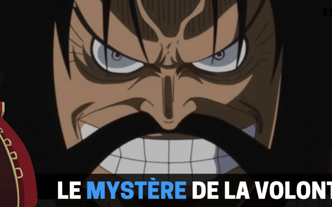 One Piece : La Volonté du D