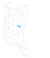 Logo-tigre-instinct-du-fauve
