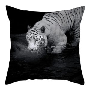 coussin tigre Blanc dans l'eau