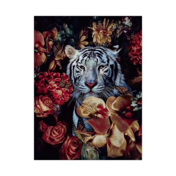 poster tigre Blanc Jardin