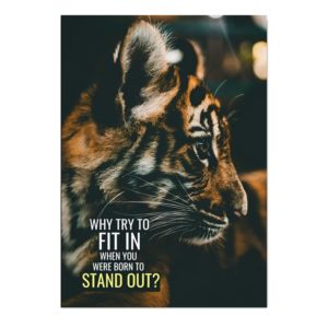 poster tigre Stand Out
