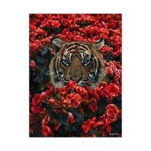 poster tigre Rose Rouge