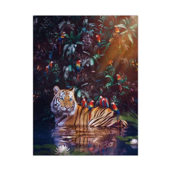poster tigre Perroquet