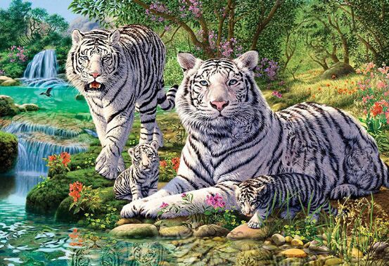 Puzzle Tigre Fauves Blancs