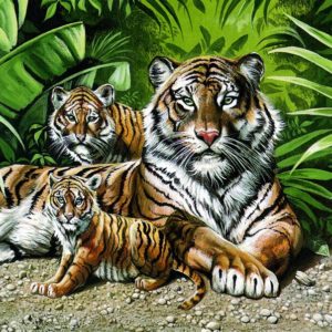 Puzzle Tigre Selfie Famille