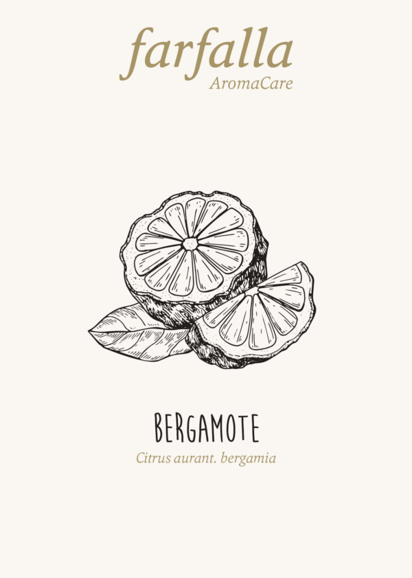 Bergamot
