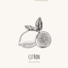 Citron