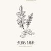Encens arabe