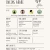 Encens arabe_Index