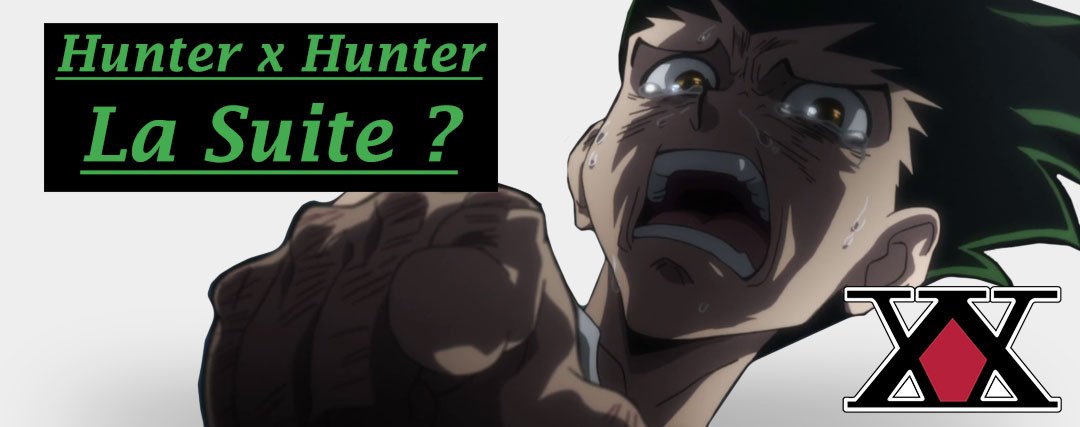 Hunter x Hunter La Suite ?