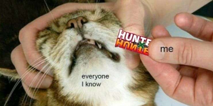 Meme Hunter x Hunter 1 