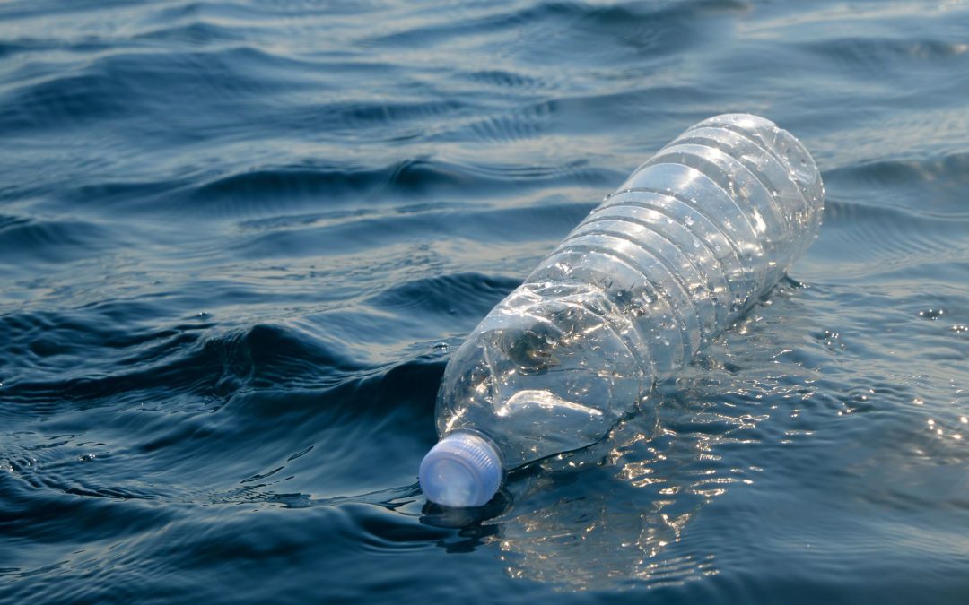 Peut on réutiliser les bouteilles en plastique ?